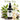 White Tea Radiant Body Oil